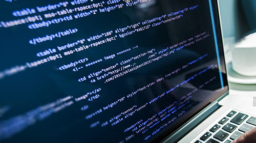 CMS Development